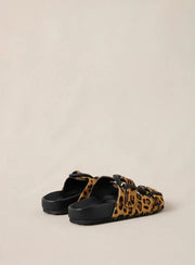 Petite Mendigote Kora animal print flatbed sandals