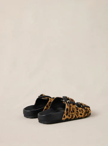 Petite Mendigote Kora animal print flatbed sandals